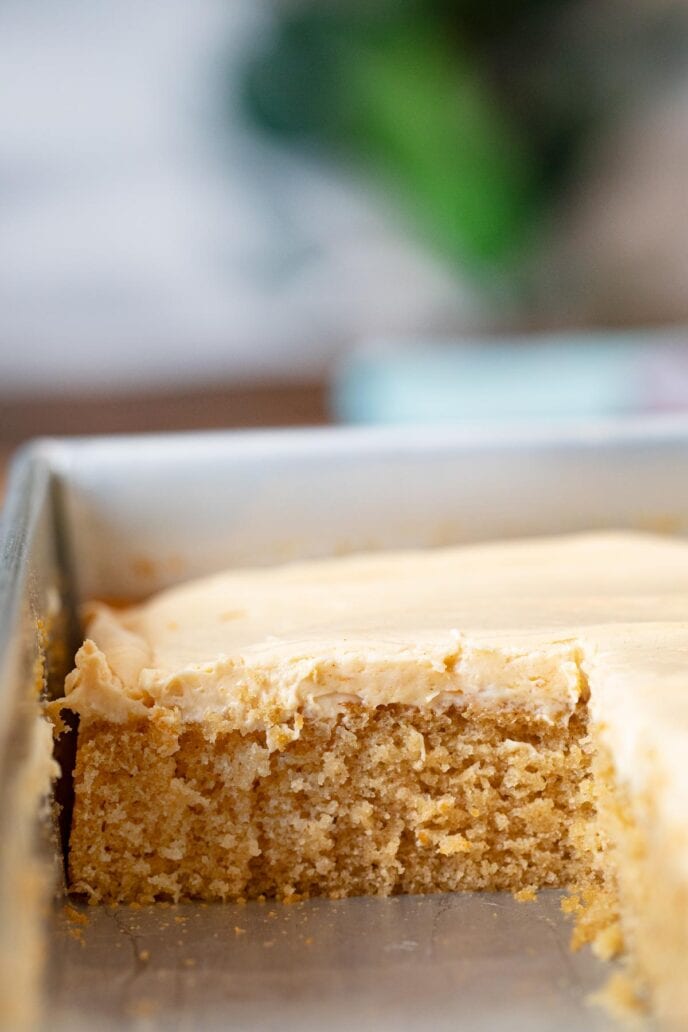 Peanut Butter Sheet Cake in baking dish with slice removed