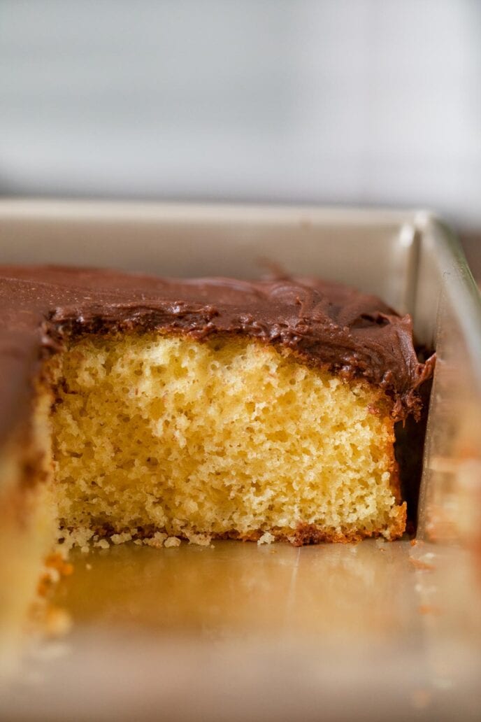 Yellow Sheet Cake with Chocolate Frosting cross-section in baking pan