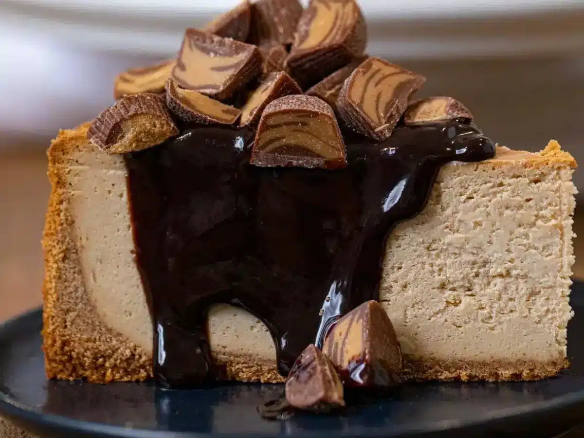 Side view of slice of cheesecake with toppings