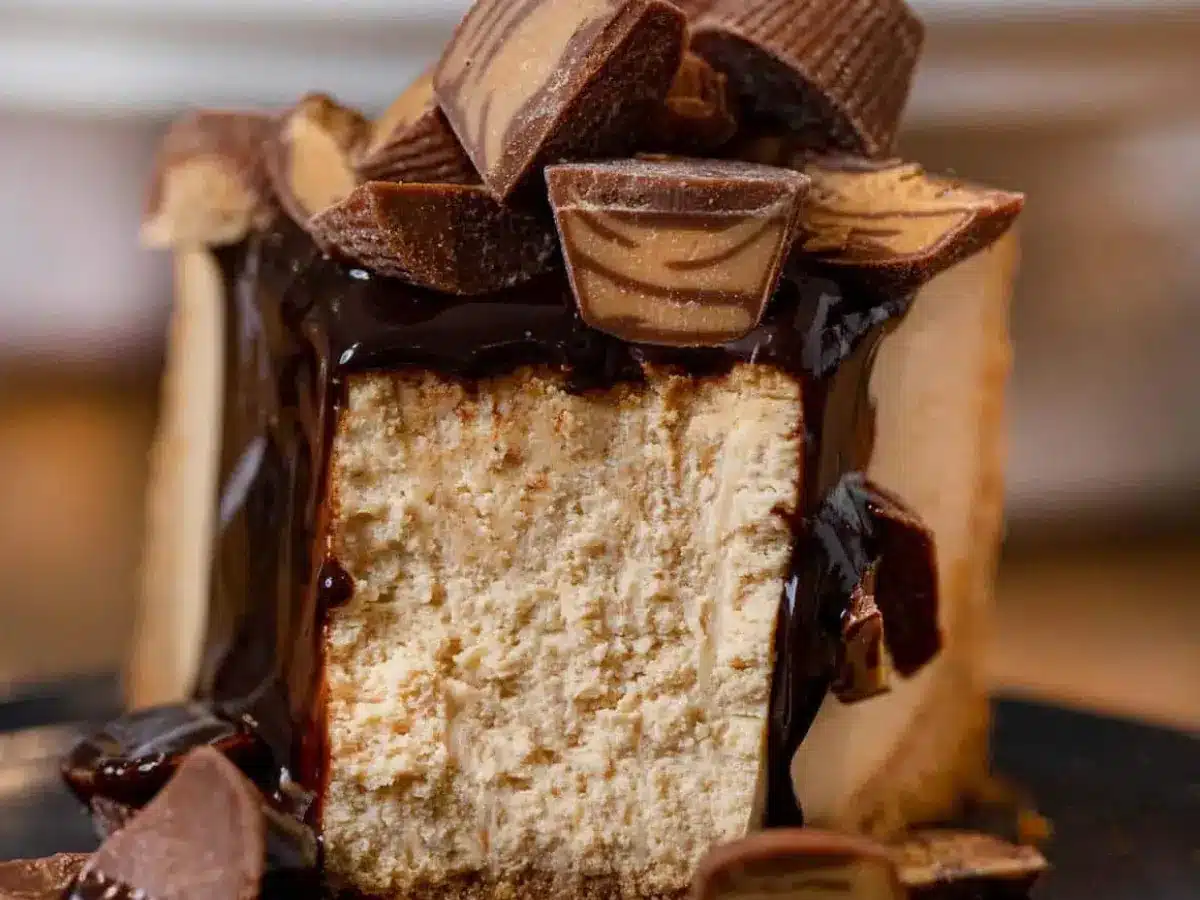 Front view of cheesecake with bite taken out