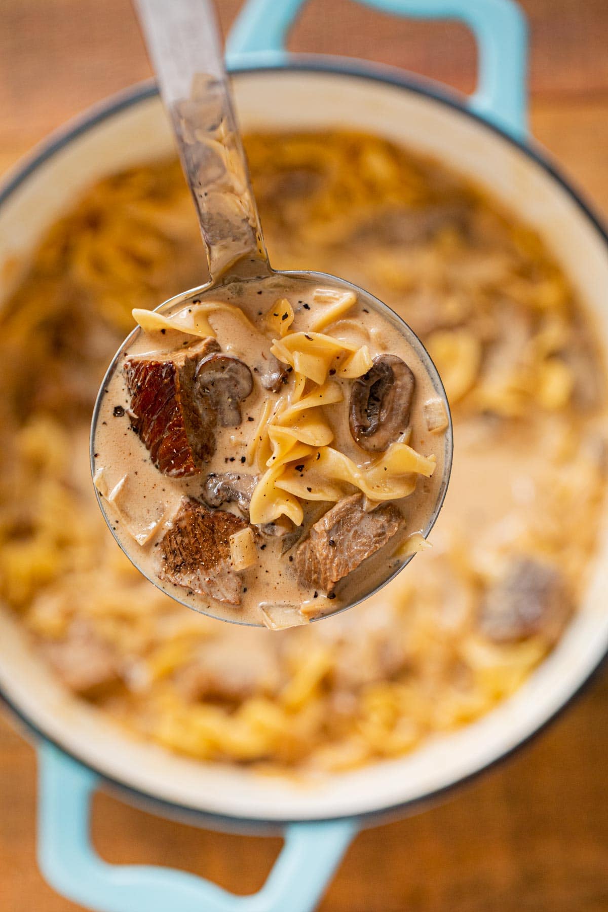 Beef Stroganoff Soup (Stove, Crockpot or Instantpot) Dinner, then Dessert