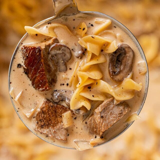 Stroganoff Soup serving in ladle 4x3