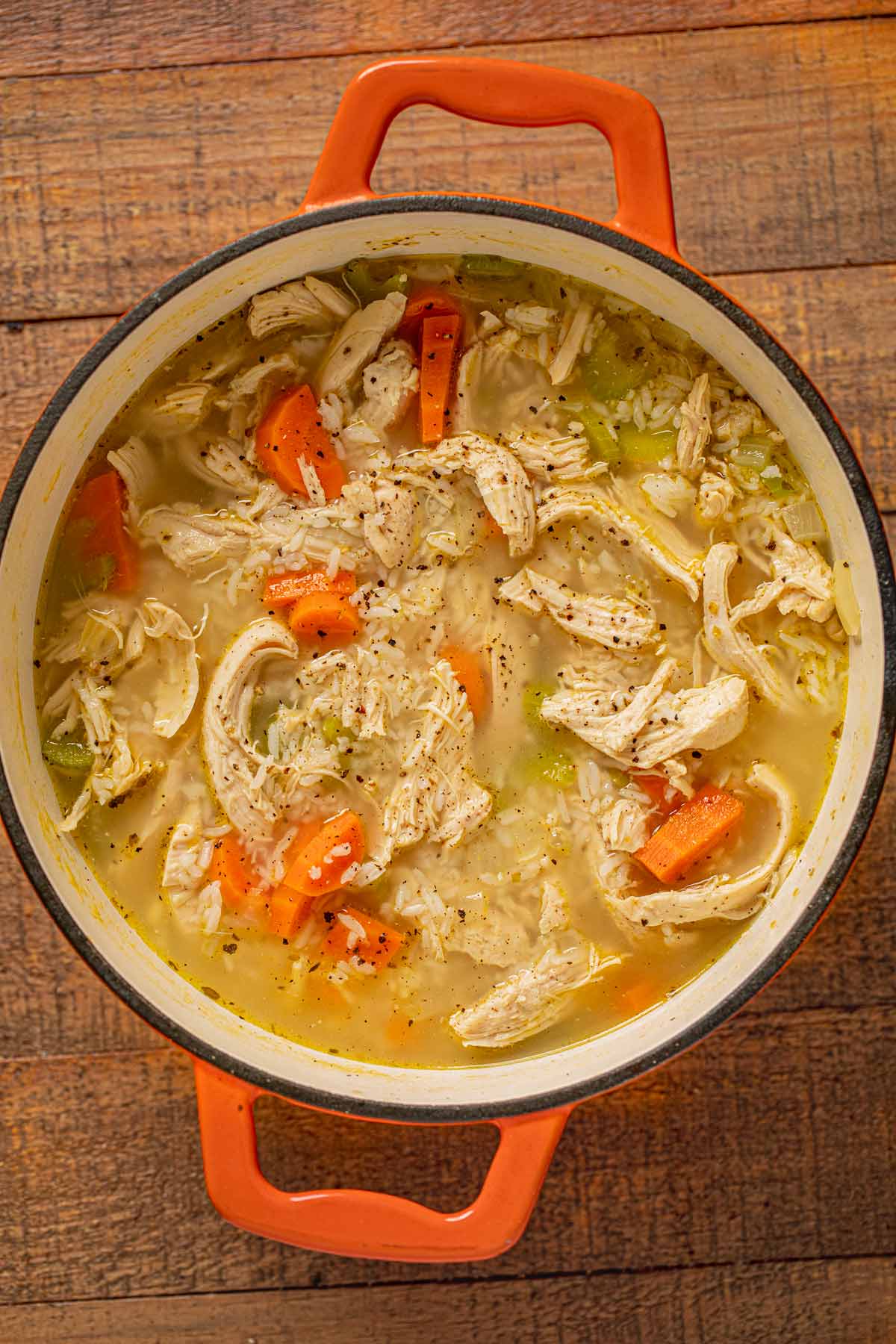 Chicken and Rice Soup in pot