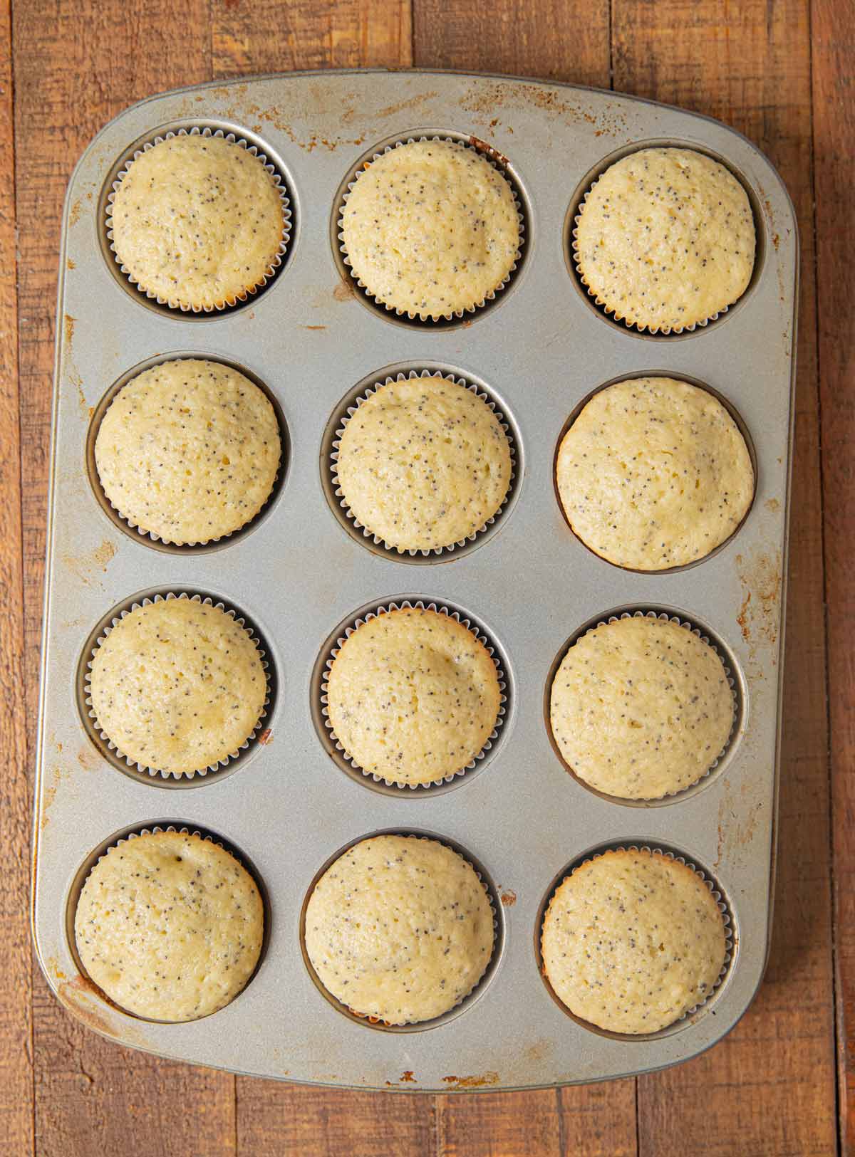 Poppy Seed Muffins in muffin tin