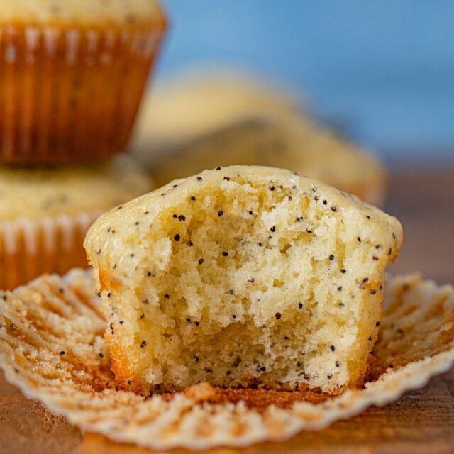 Poppy Seed Muffin with bite removed