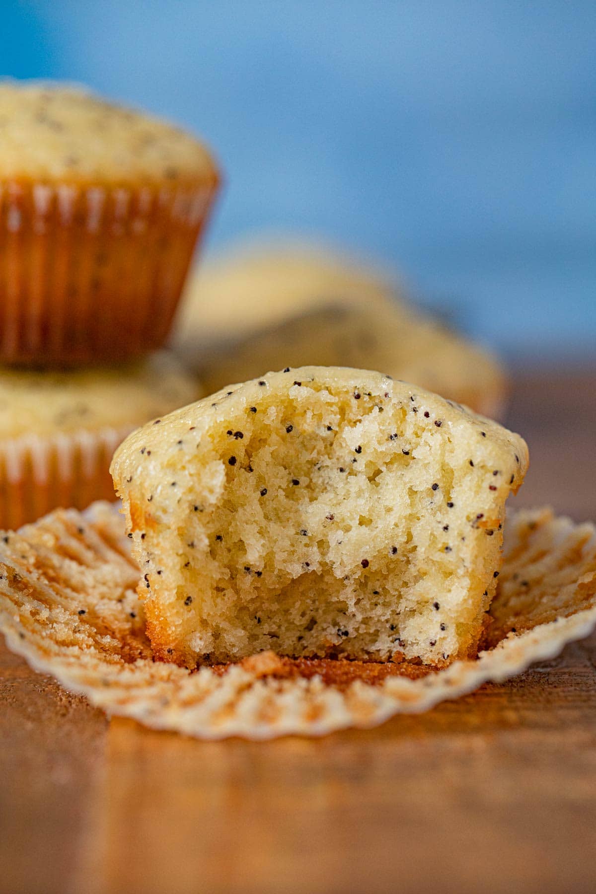 Poppy Seed Muffin with bite removed