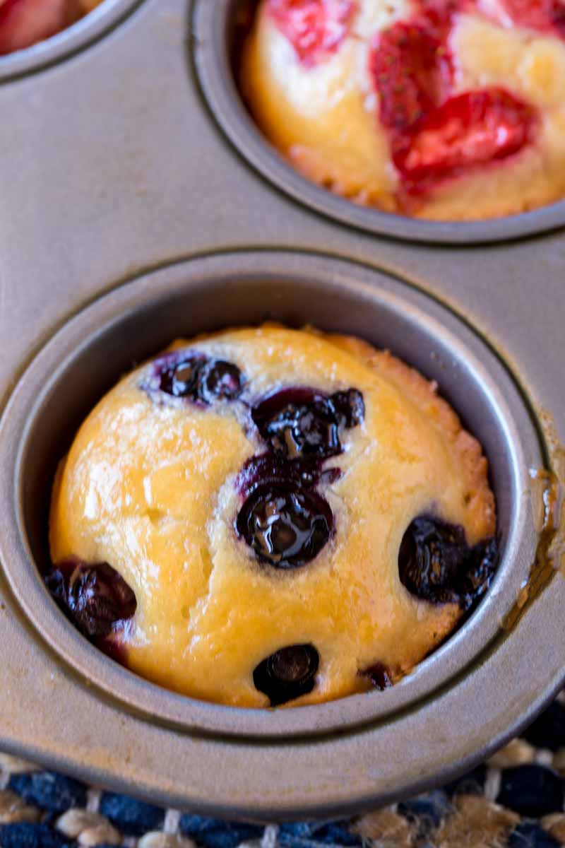 Blueberry Muffin Bite