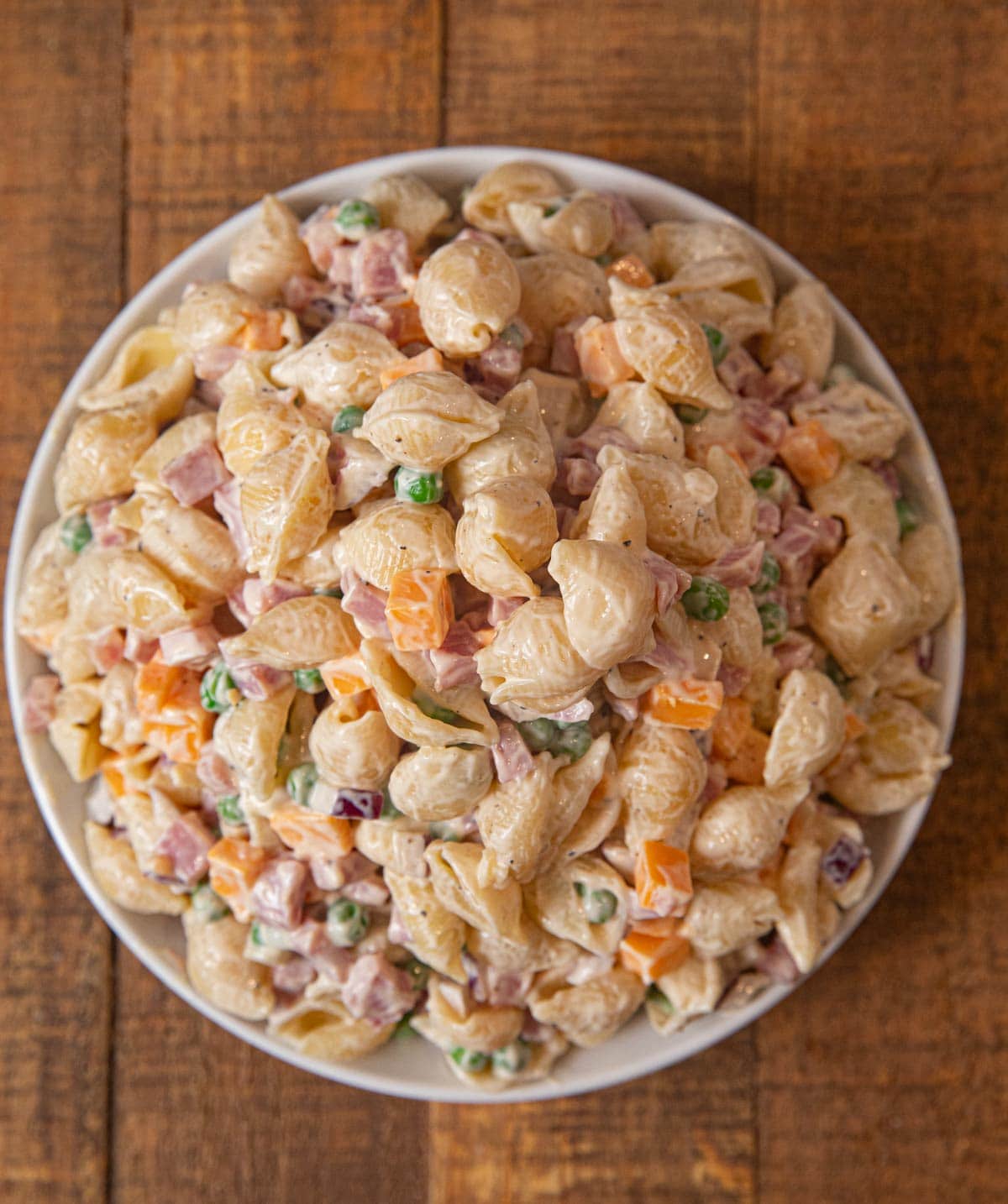 Tuna lunchbox pasta salad - Seafood Experts