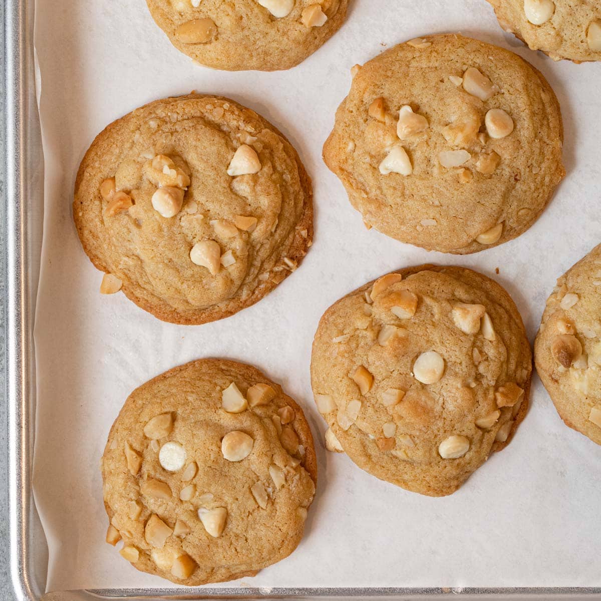 White Chocolate Macadamia - Jenny's Homemade Cookies