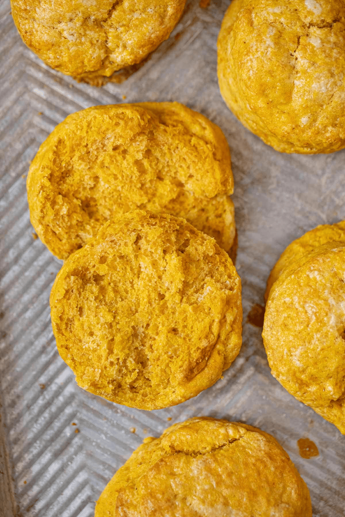 Overlapping biscuits cut in half