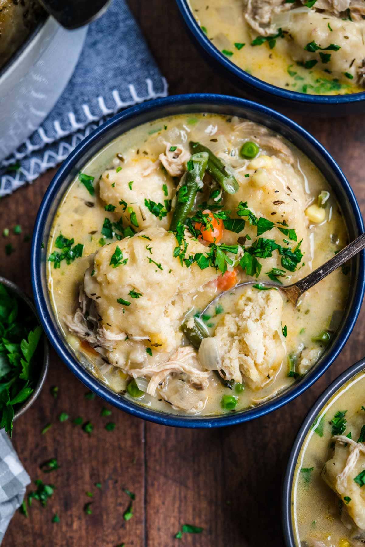 Chicken and Dumplings Soup in bowl with parsley garnish