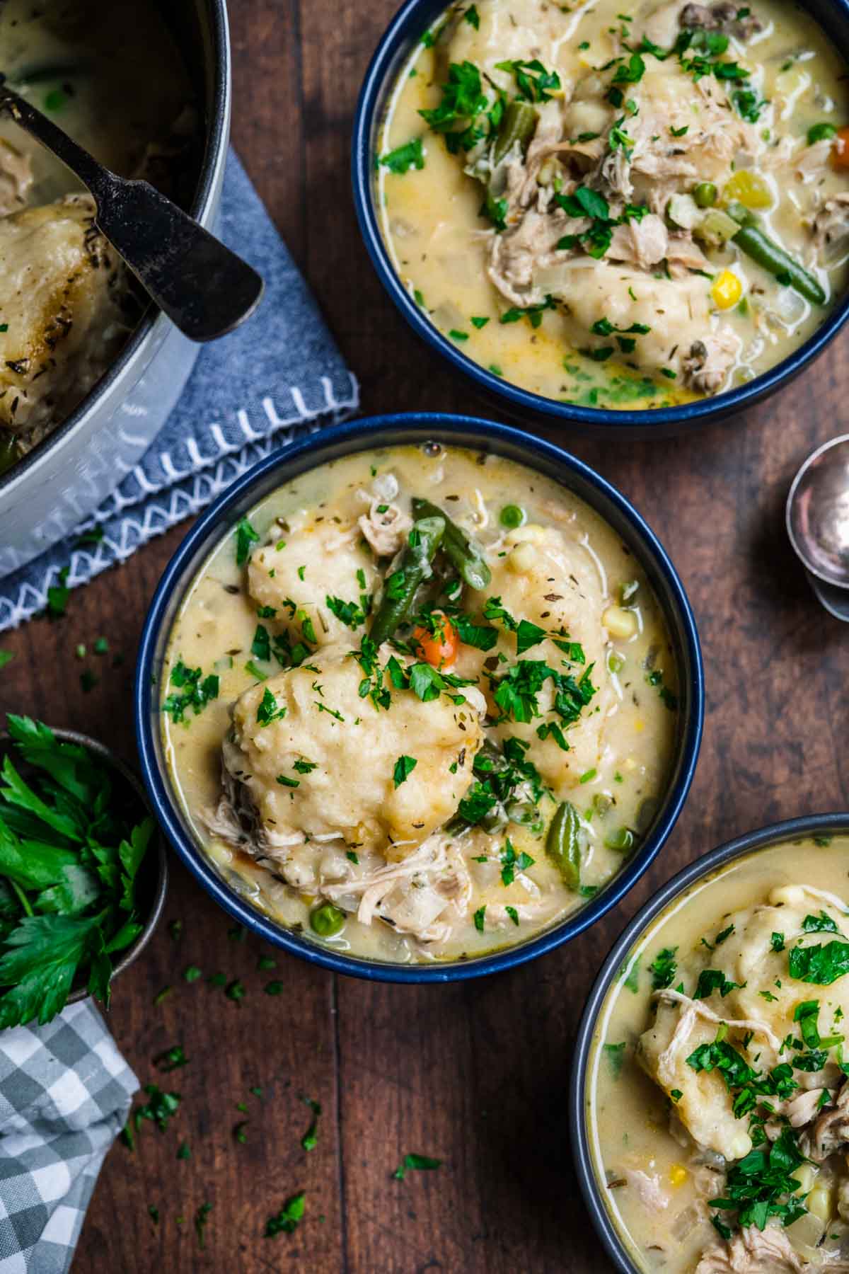 Chicken and Dumplings Soup in bowl with parsley garnish