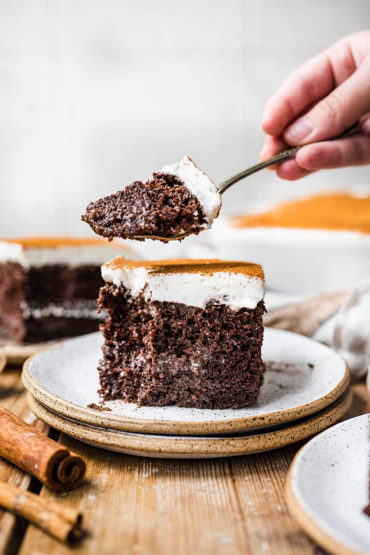 Mexican Chocolate Tres Leches Cake slice on plate and bite on fork