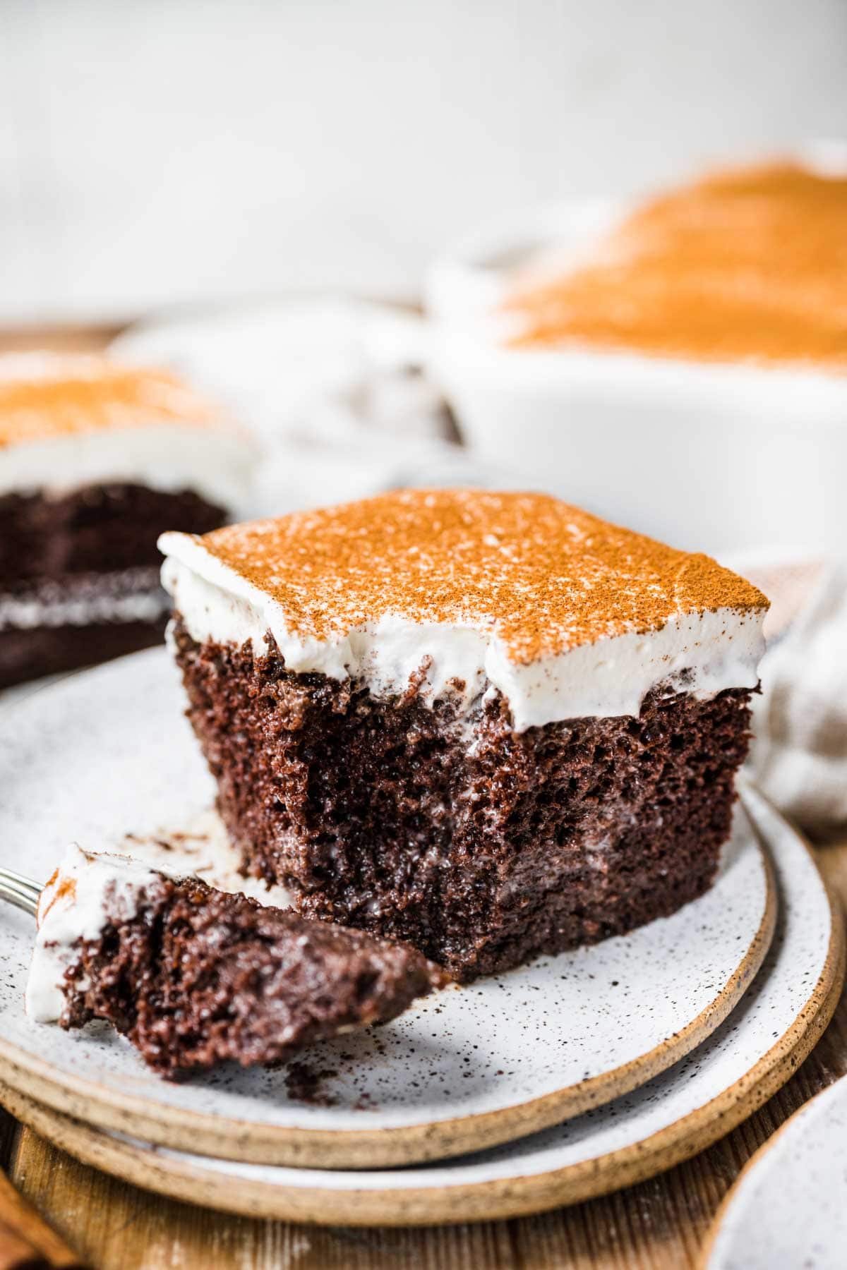 Mexican Chocolate Tres Leches Cake slice on plate with bite next to it