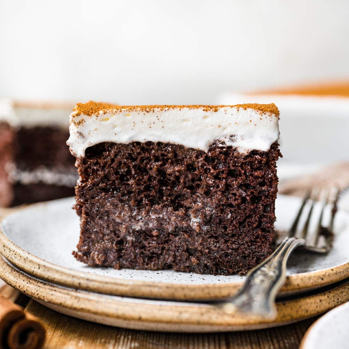 Mexican Chocolate Tres Leches Cake slice on plate with fork