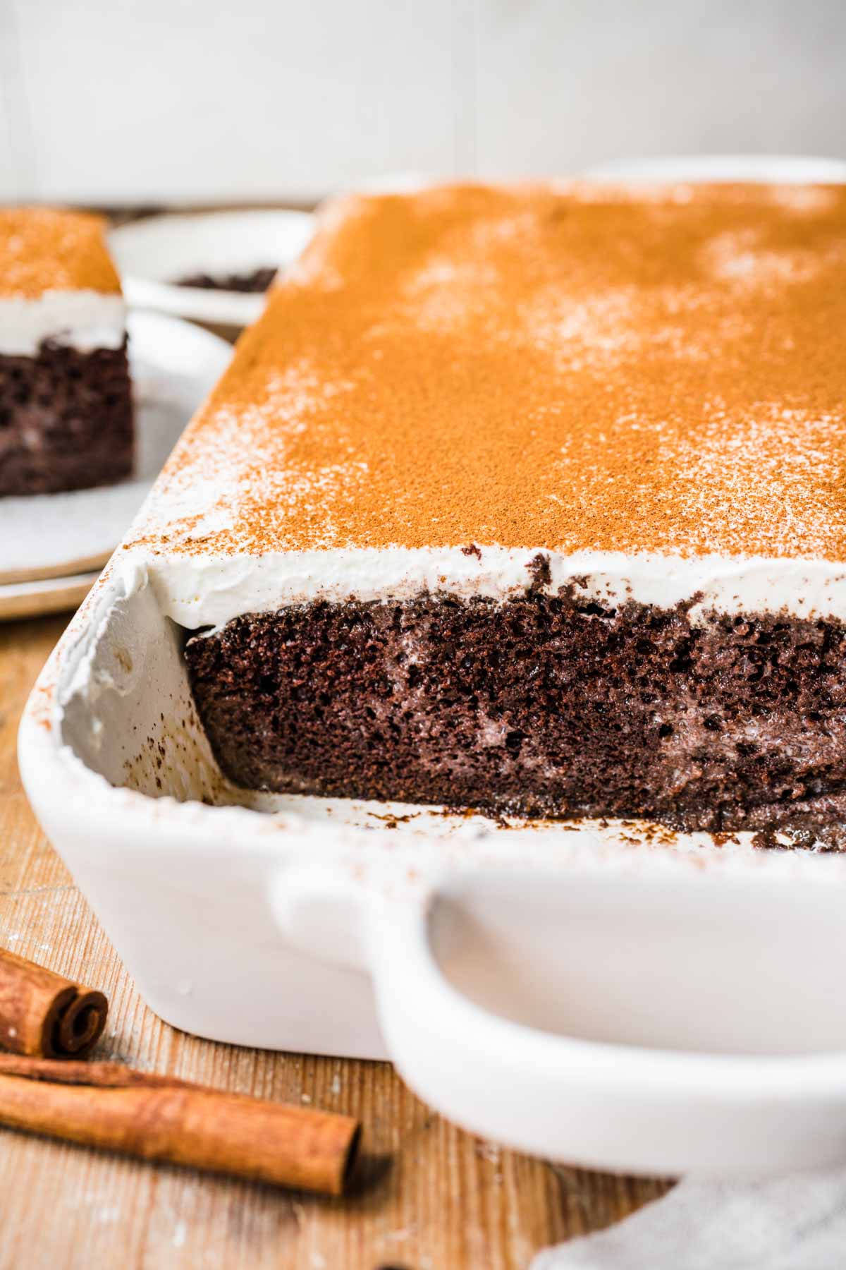 Mexican Chocolate Tres Leches Cake baked and frosted