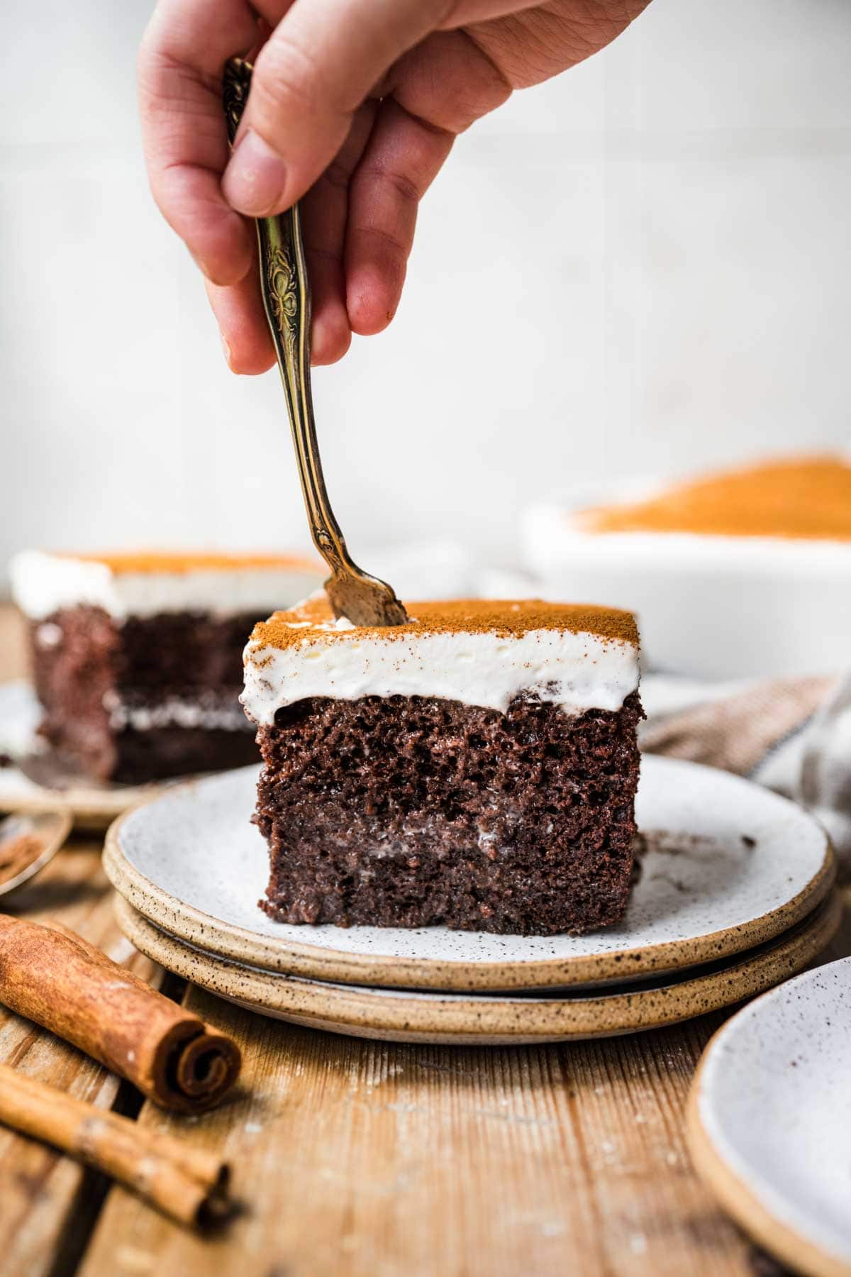 Mexican Chocolate Tres Leches Cake slice on plate with fork in top