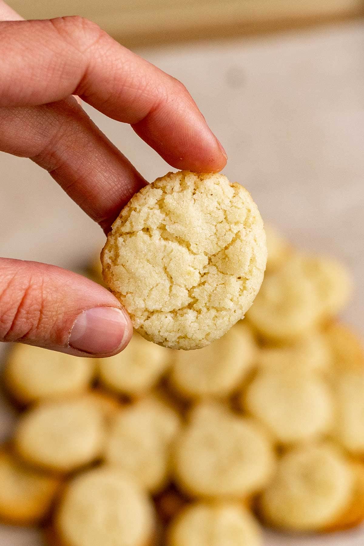 Nilla Wafer Cookies (Copycat) with hand