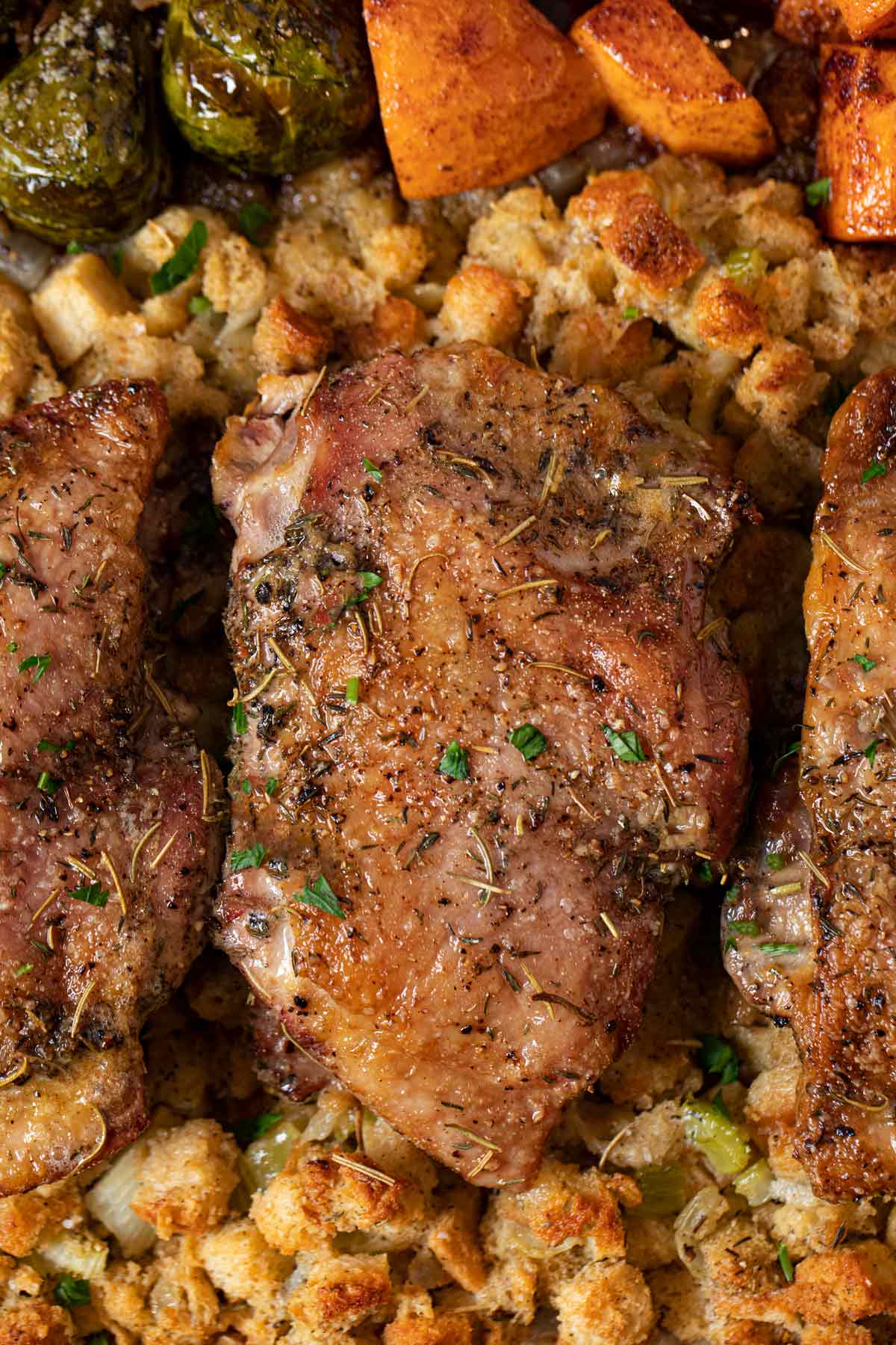 Close up of turkey