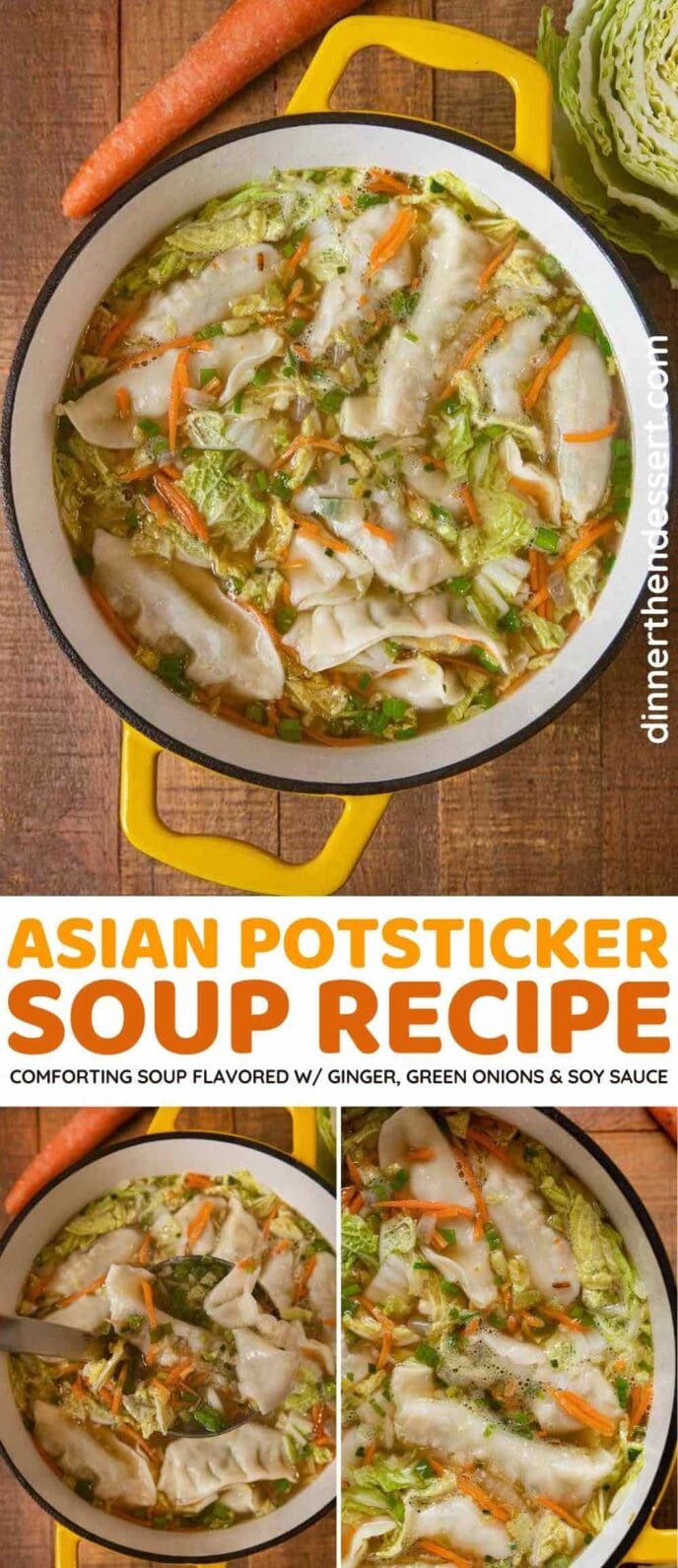Potsticker Soup