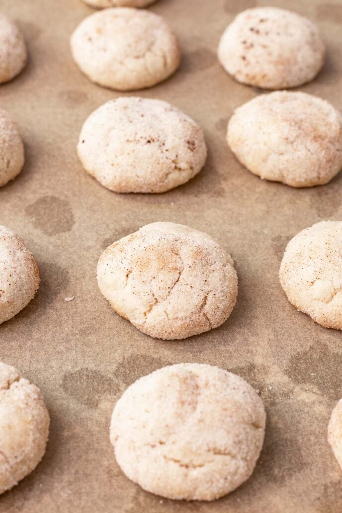 Mexican Cinnamon Cookies Recipe Dinner Then Dessert