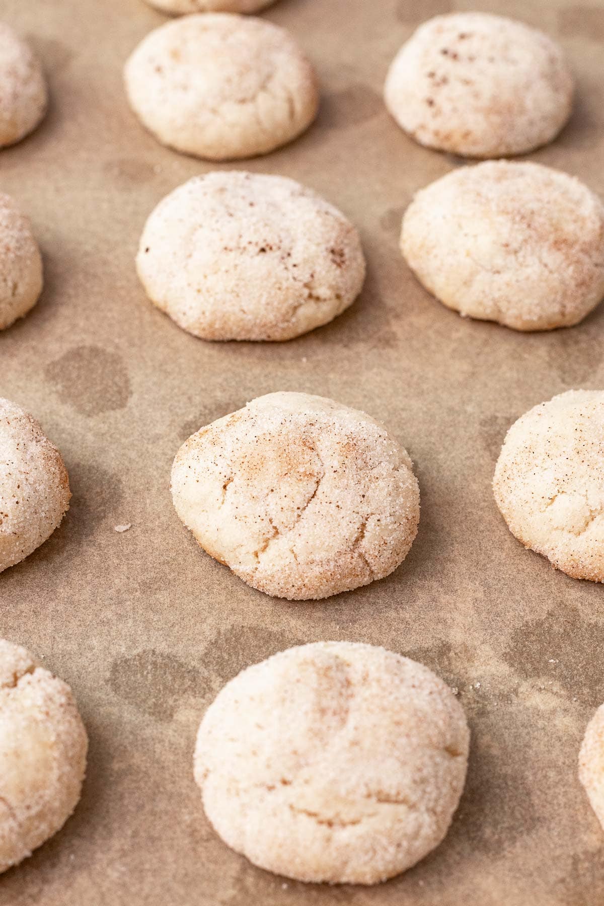 Mexican Cinnamon Cookies on baking sheet