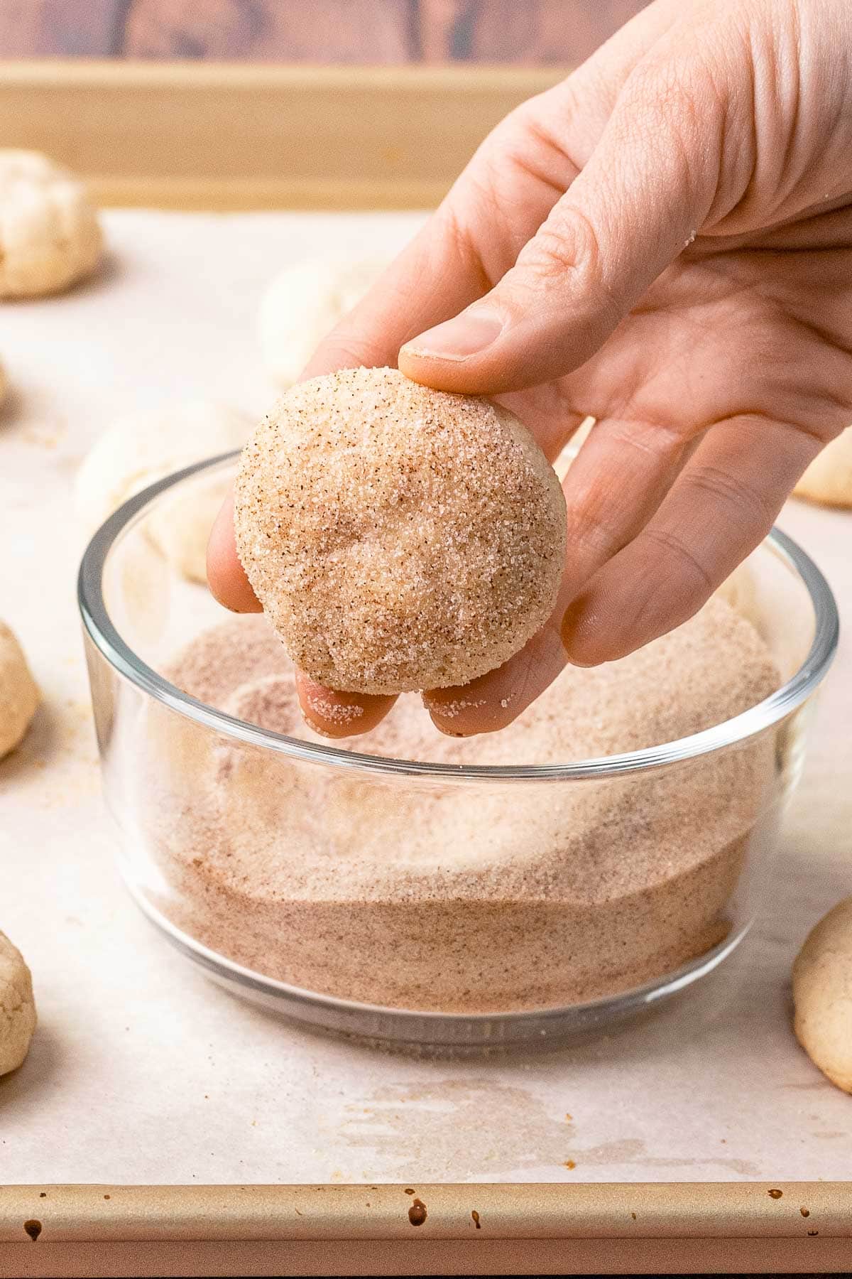 Mexican Cinnamon Cookies coated in cinnamon