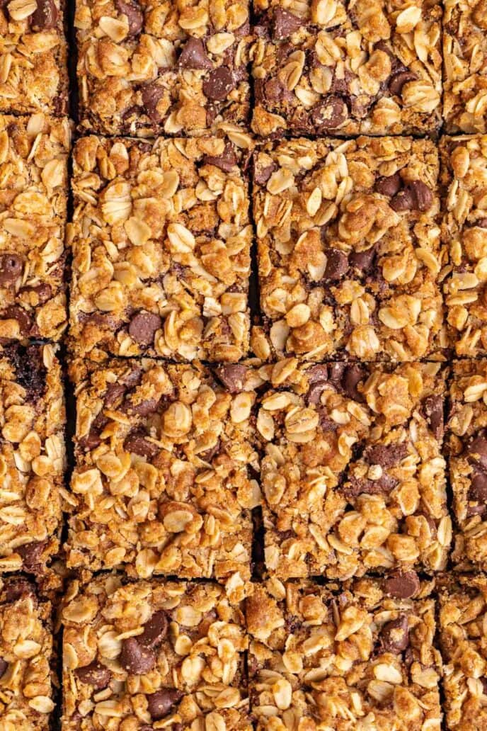 Oatmeal Chip Brownies sliced into squares