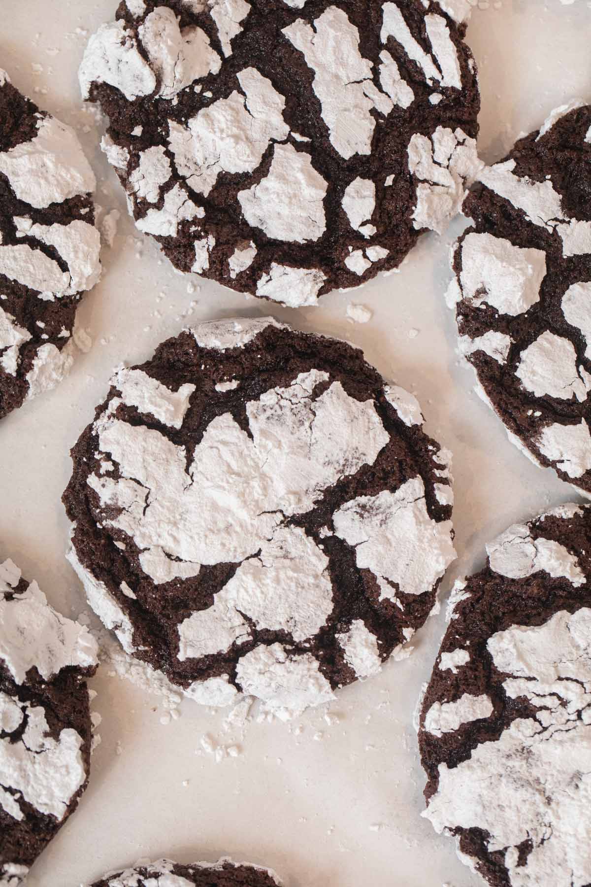 Chocolate Crinkle Cookies on cookie sheet