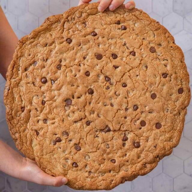 Giant Chocolate Chip Cookie held vertically
