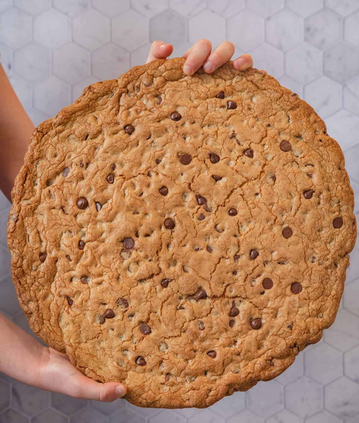 Giant Chocolate Chip Cookie held vertically