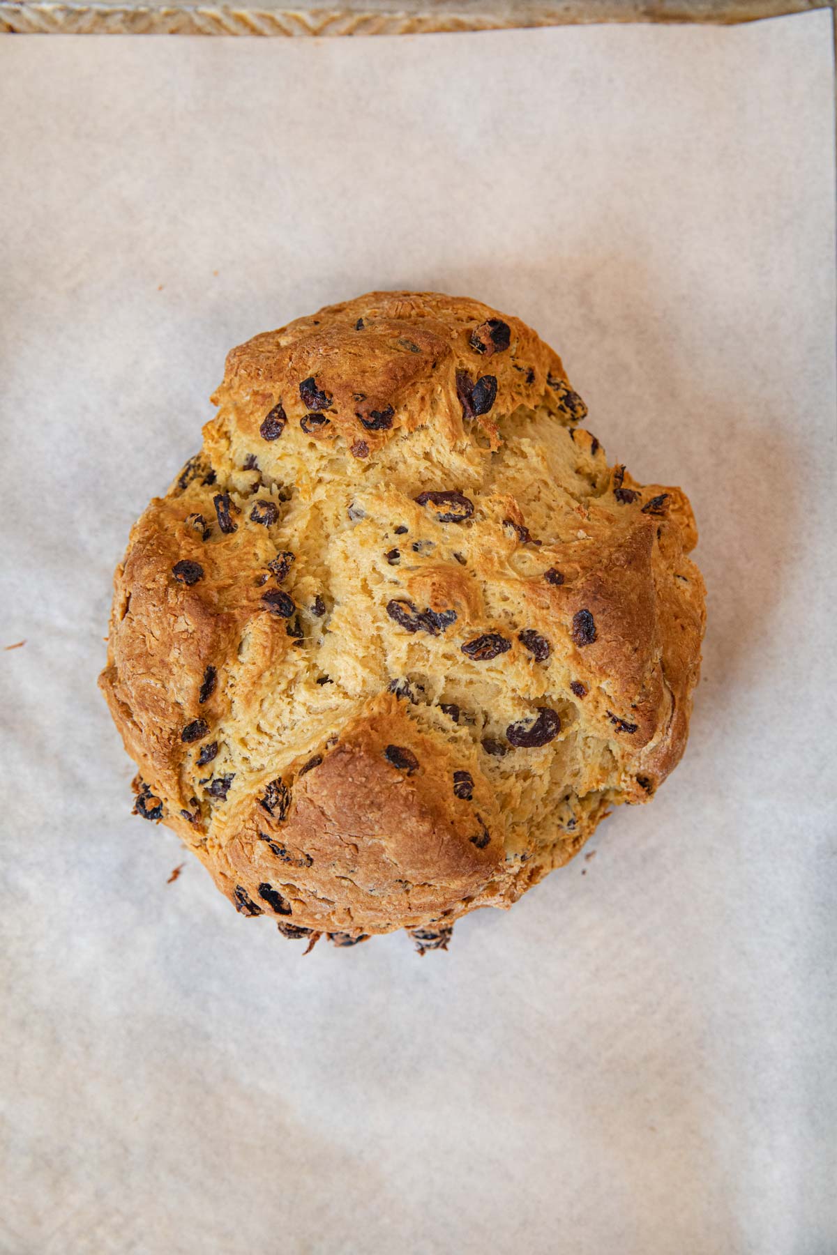 Irish Soda Bread loaf on baking sheet