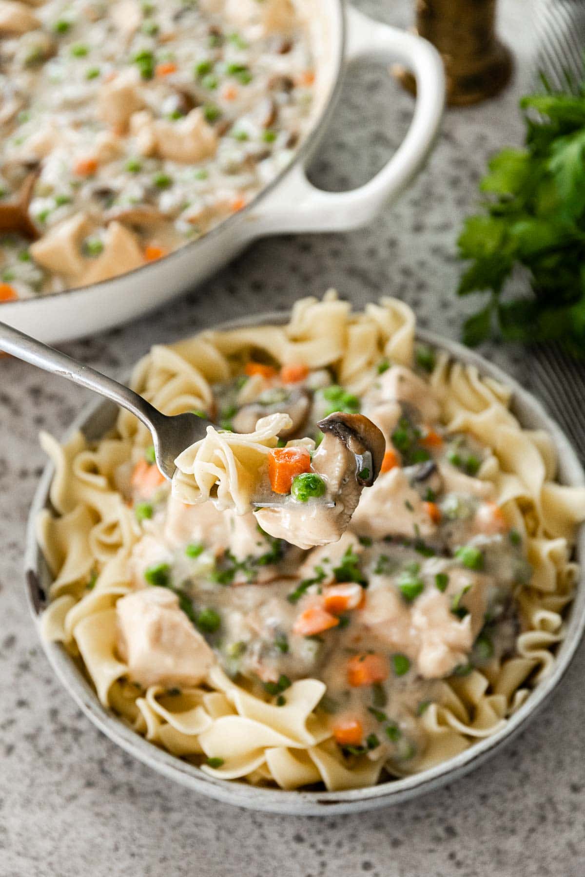 Chicken à la King served over wavy egg noodles in bowl with fork