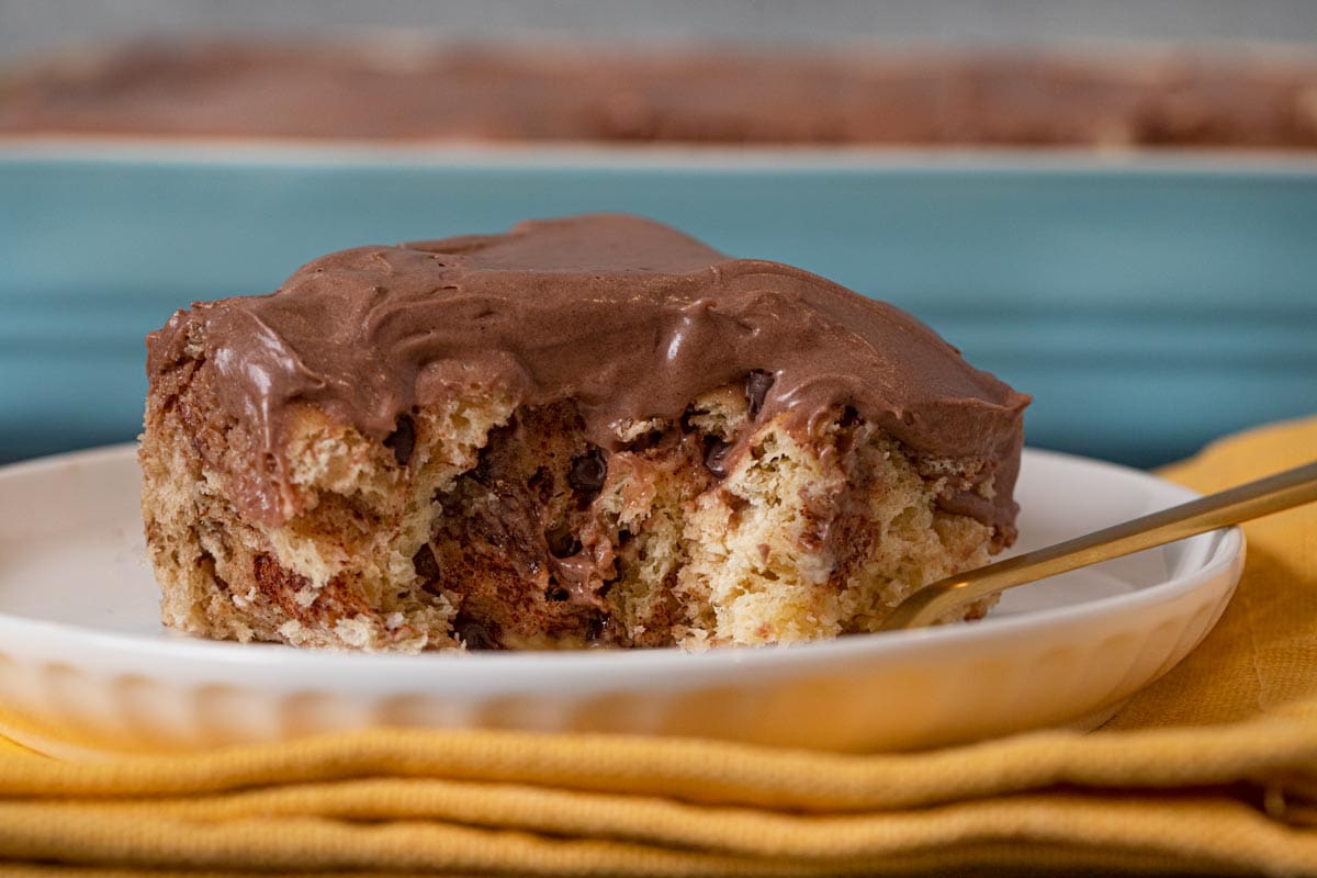 Chocolate Chip Cinnamon Roll on plate