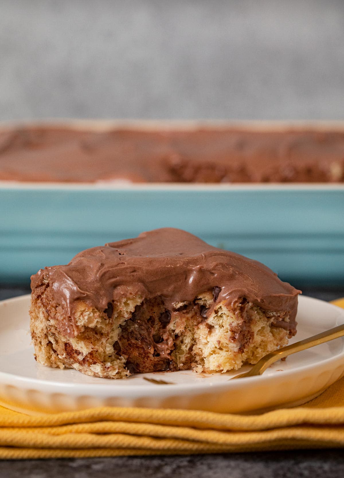 Chocolate Chip Cinnamon Roll on plate