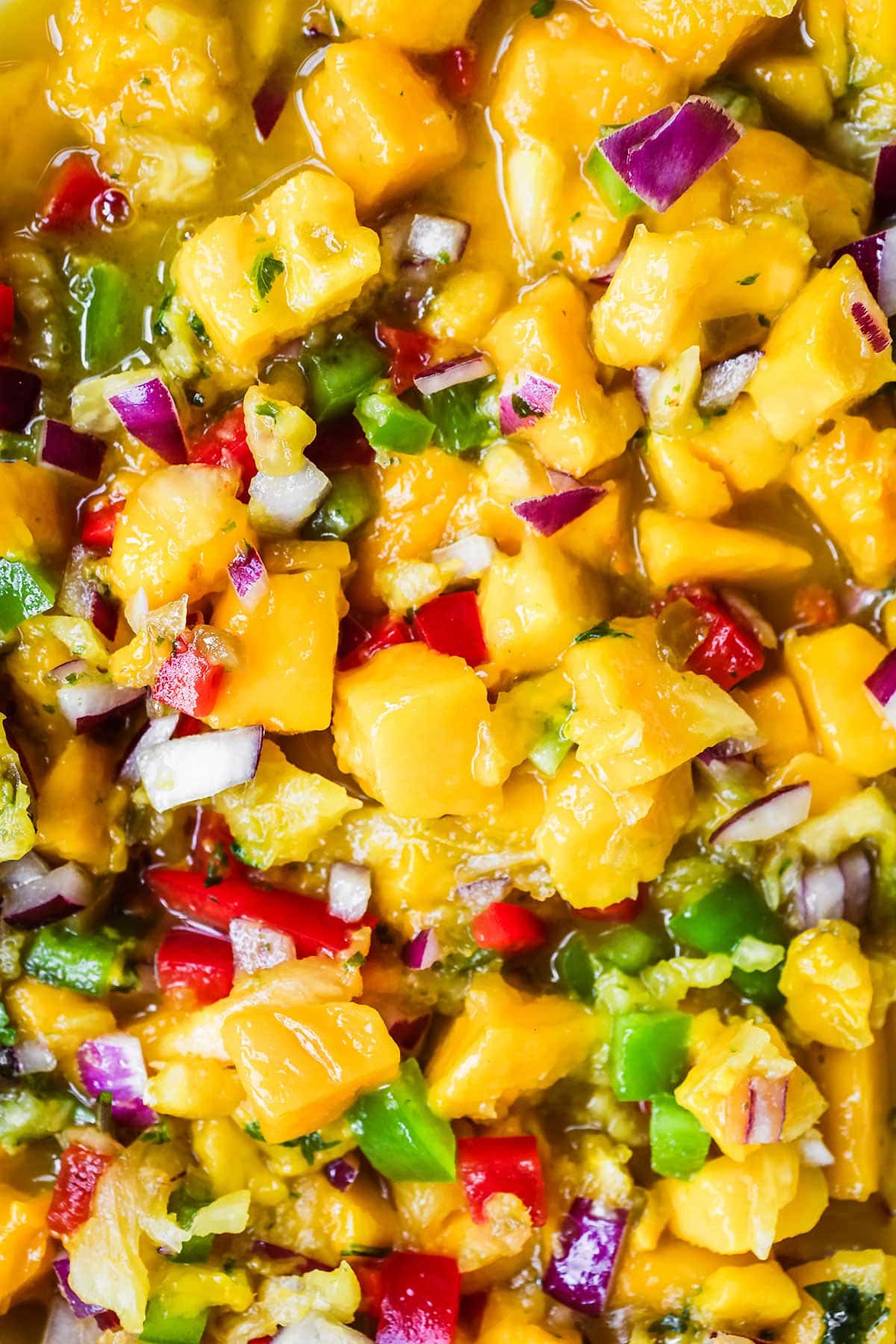 Mango Salsa closeup