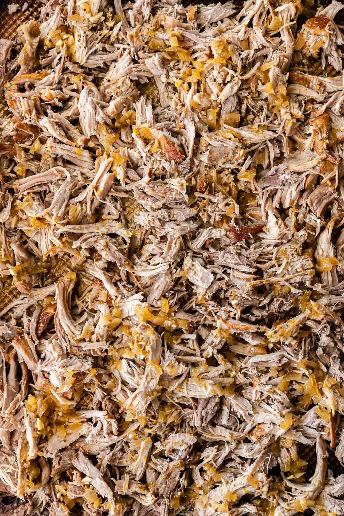 Close up of shredded Pork Carnitas (Oven)