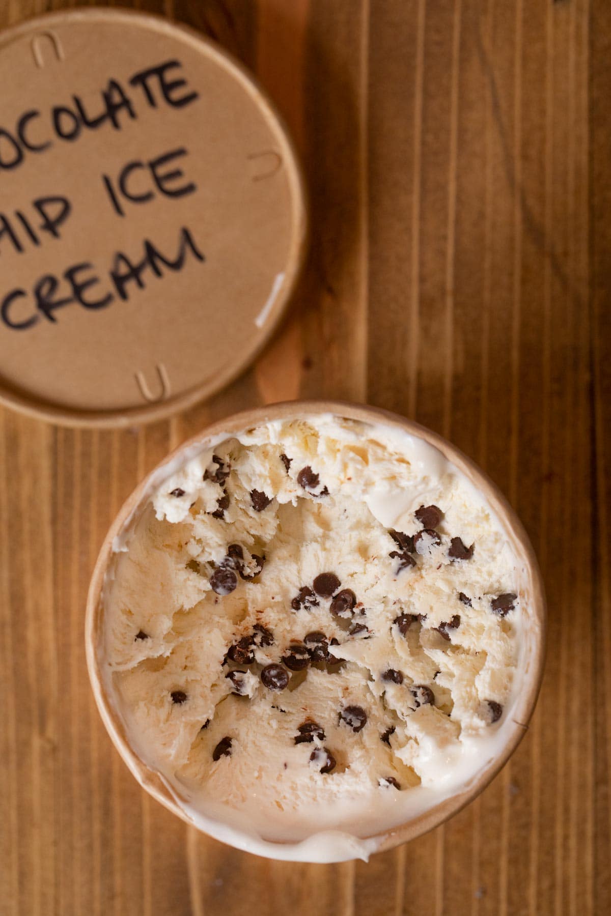 Chocolate Chip Ice Cream in freezer container