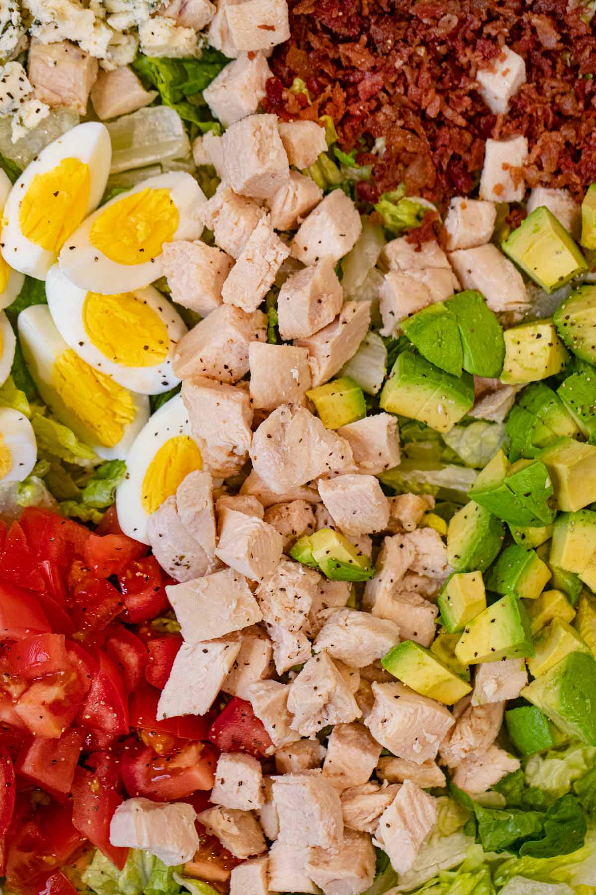 close-up of Cobb Salad