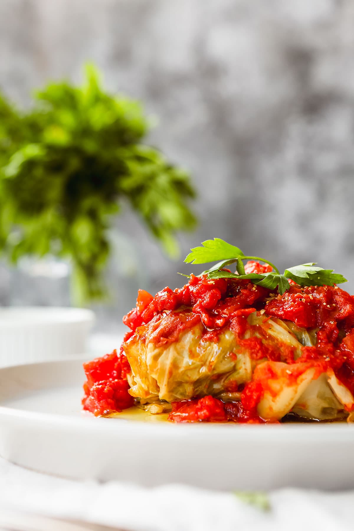 Beef and Rice Stuffed Cabbage Rolls cabbage leaf roll on plate with tomato sauce and parsley garnish