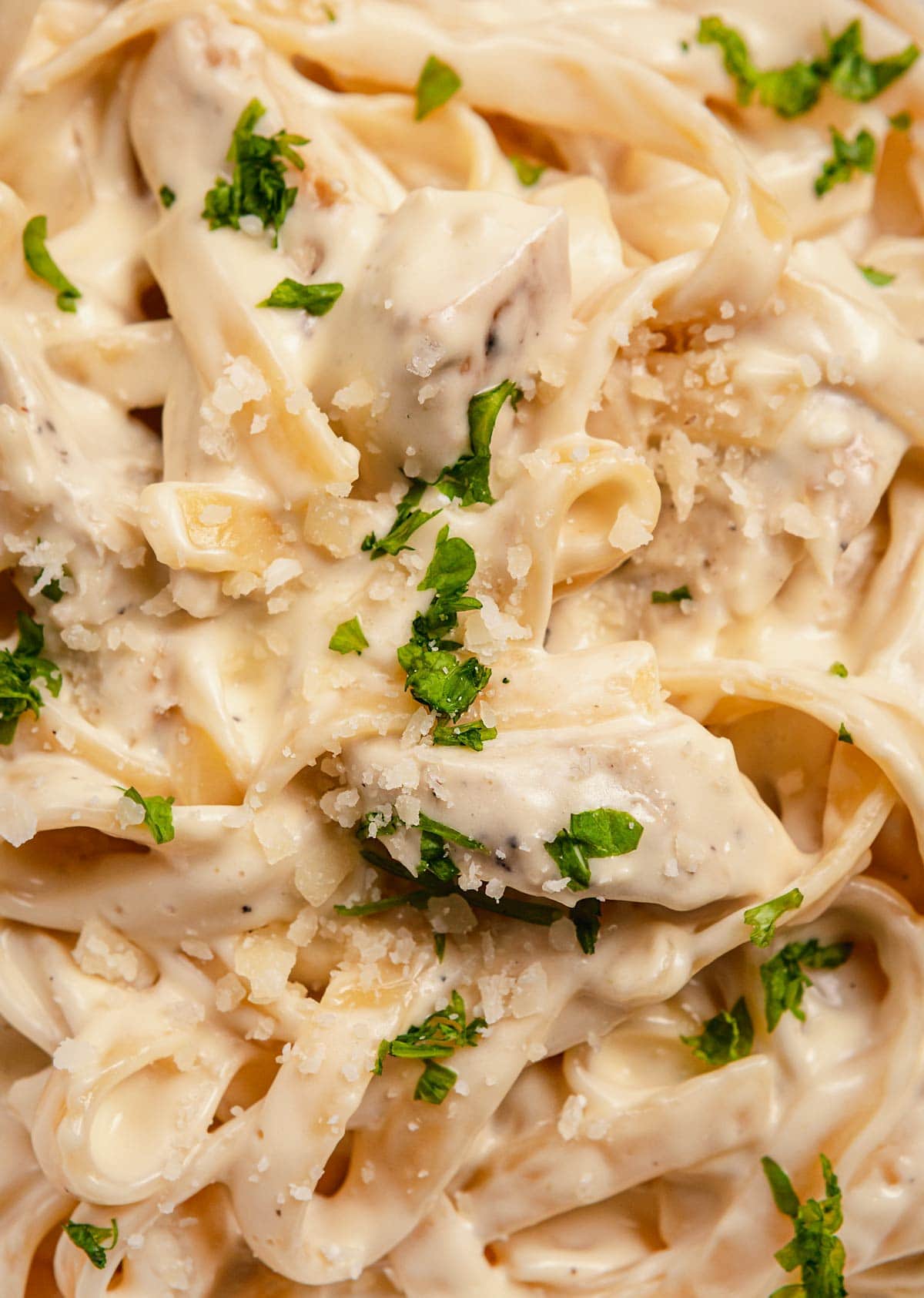 close-up of Chicken Alfredo Pasta serving on plate