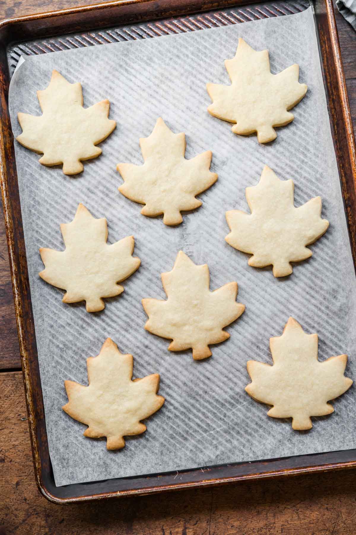 Glazed Maple Shortbread Cookies cut out on baking sheet lined with parchment after baking