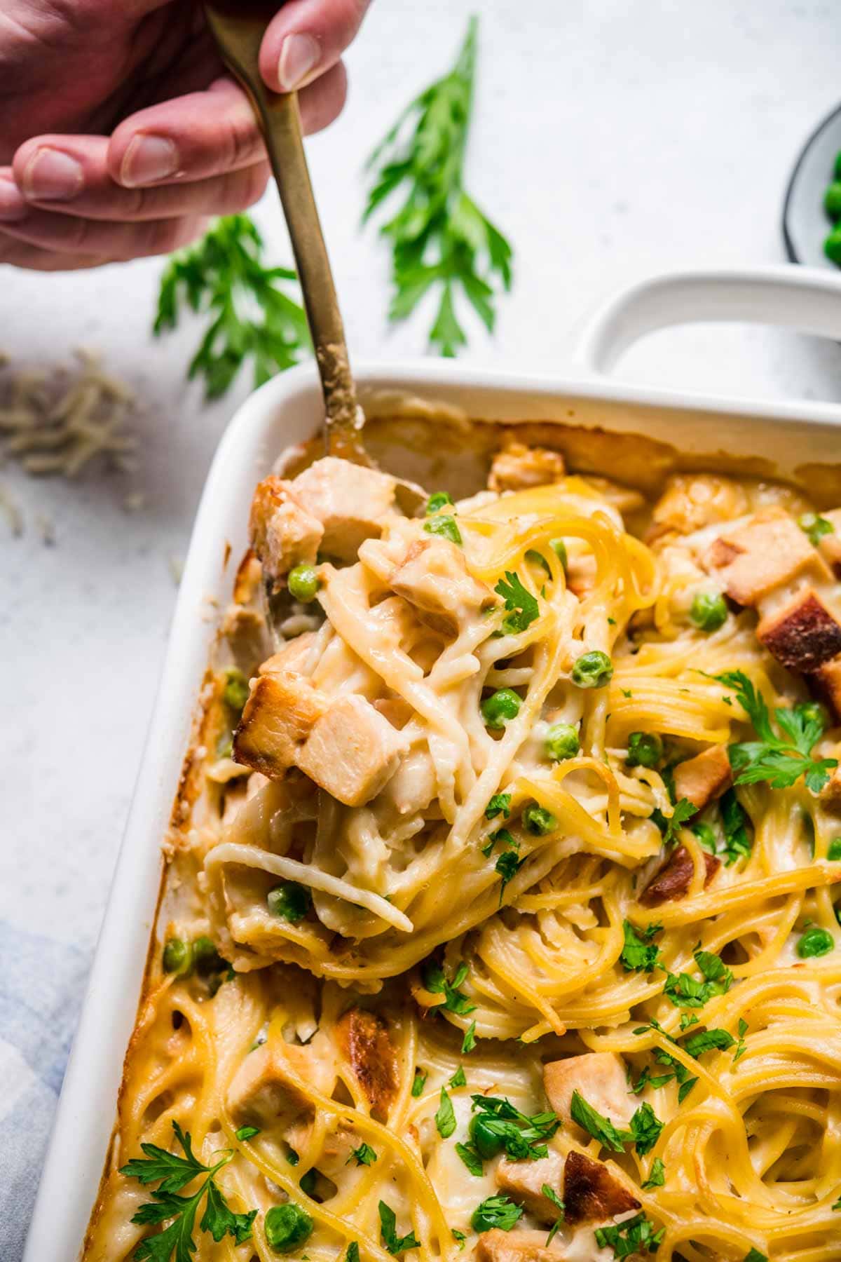 Turkey Tetrazzini in baking dish with fresh parsley garnish