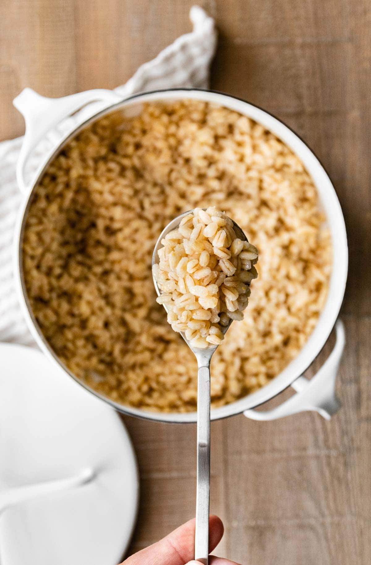 Cooked Barley in pot