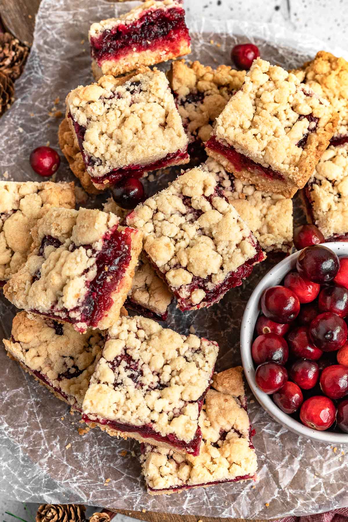 Cranberry Bars arranged on serving platter with bowl of cranberries