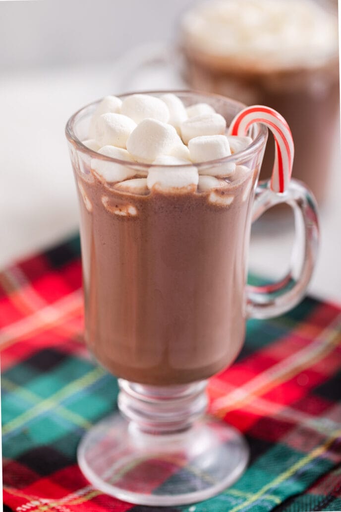 Slow Cooker Peppermint Hot Chocolate in Mug with Mini Marshmallows and Candy Canes