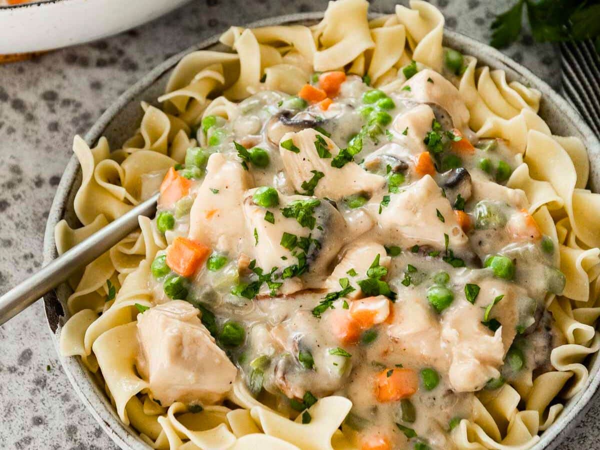 Cooked chicken and gravy plated over egg noodles