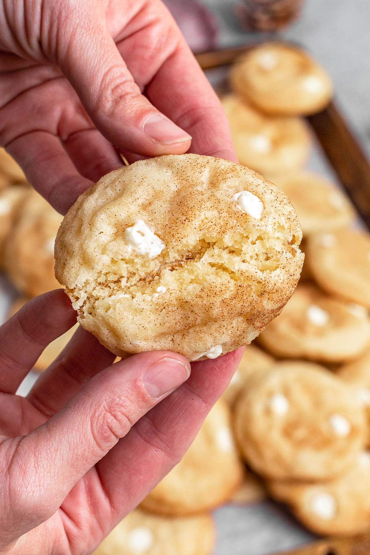 Snickerdoodle Chip Cookies in hand showing inside