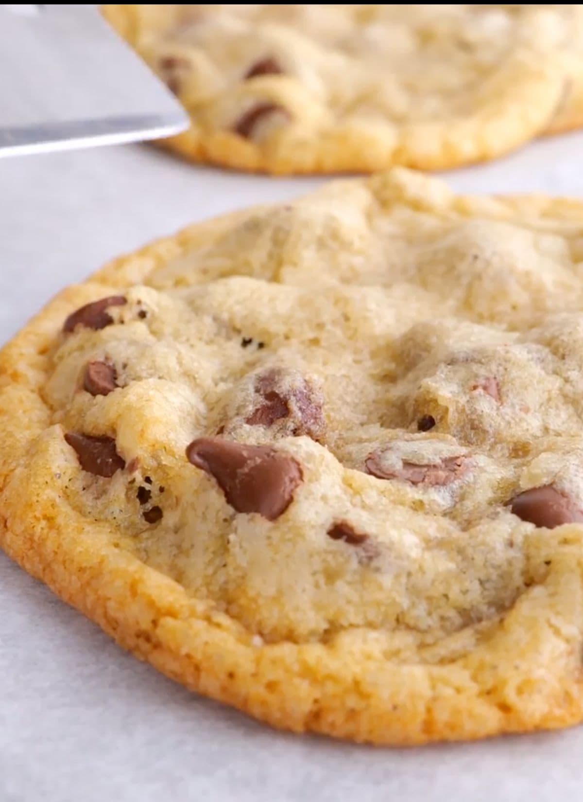 Chocolate Chip Cookies baked on sheet