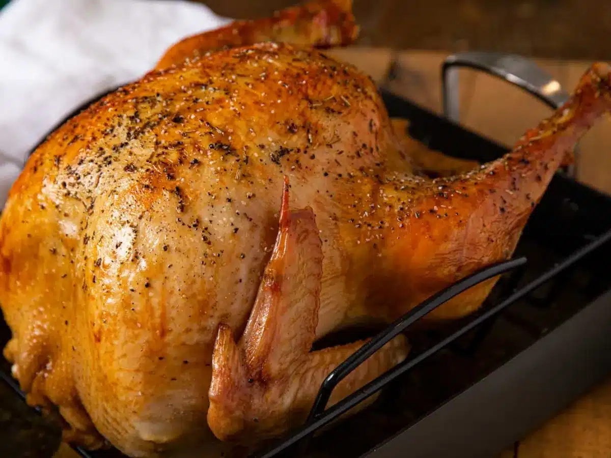 Cooked meat on baking dish out of the oven